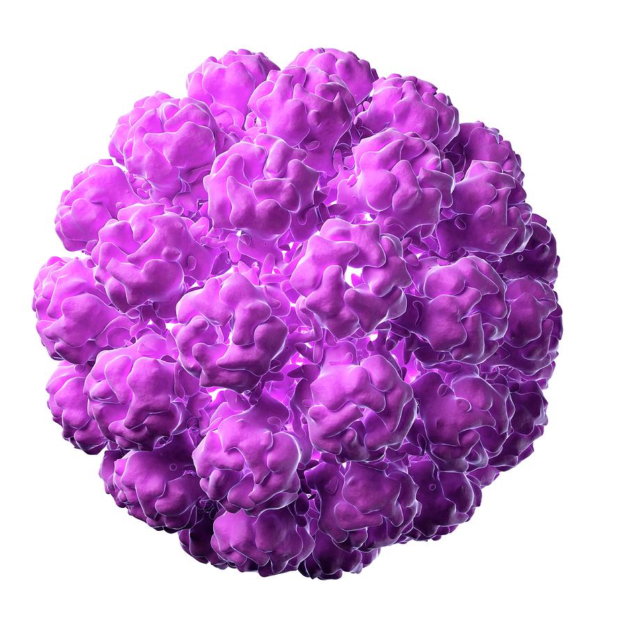 Murine Polyomavirus, Artwork Digital Art by Science Photo Library - Sciepro