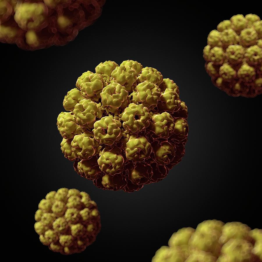 Murine Polyomavirus Photograph by Sciepro/science Photo Library - Fine ...