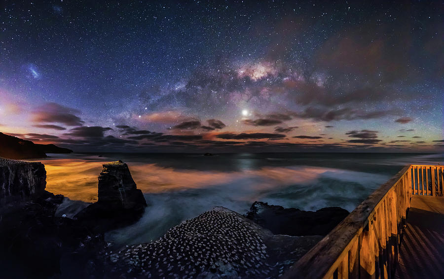 Muriwai Gannet Colony And The Milky Way Photograph by Mike Mackinven