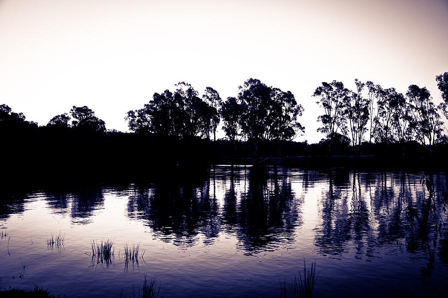 Murray River Photograph by Carole Hinding