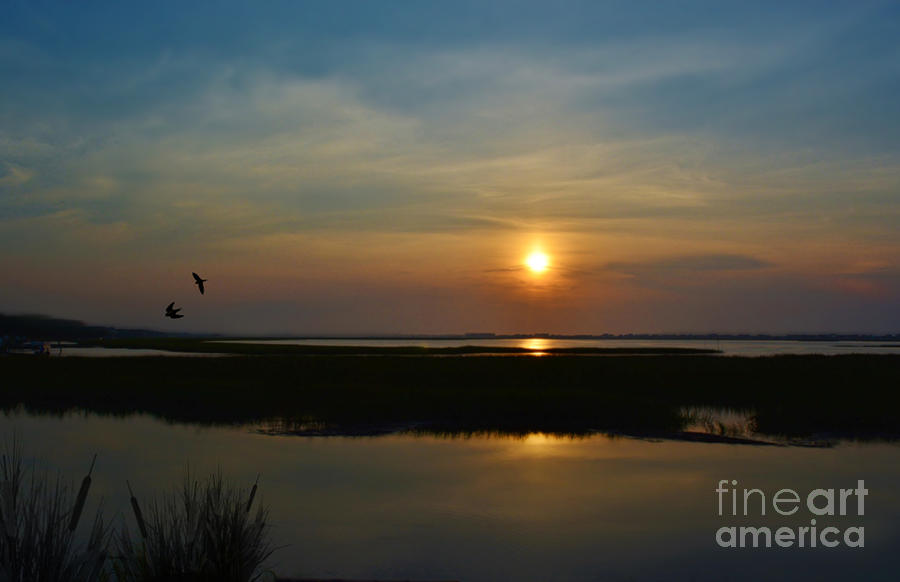 Murrells Inlet Sunrise Photograph by Kathy Baccari