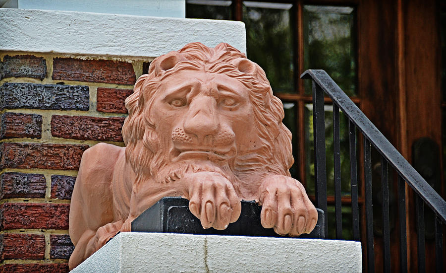 Museum Lion Photograph by Linda Brown