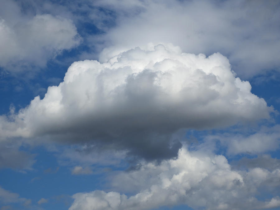Mushroom cloud Photograph by David Pyatt
