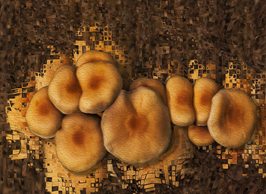 Mushroom Painting - Mushroom Cluster by Jack Zulli
