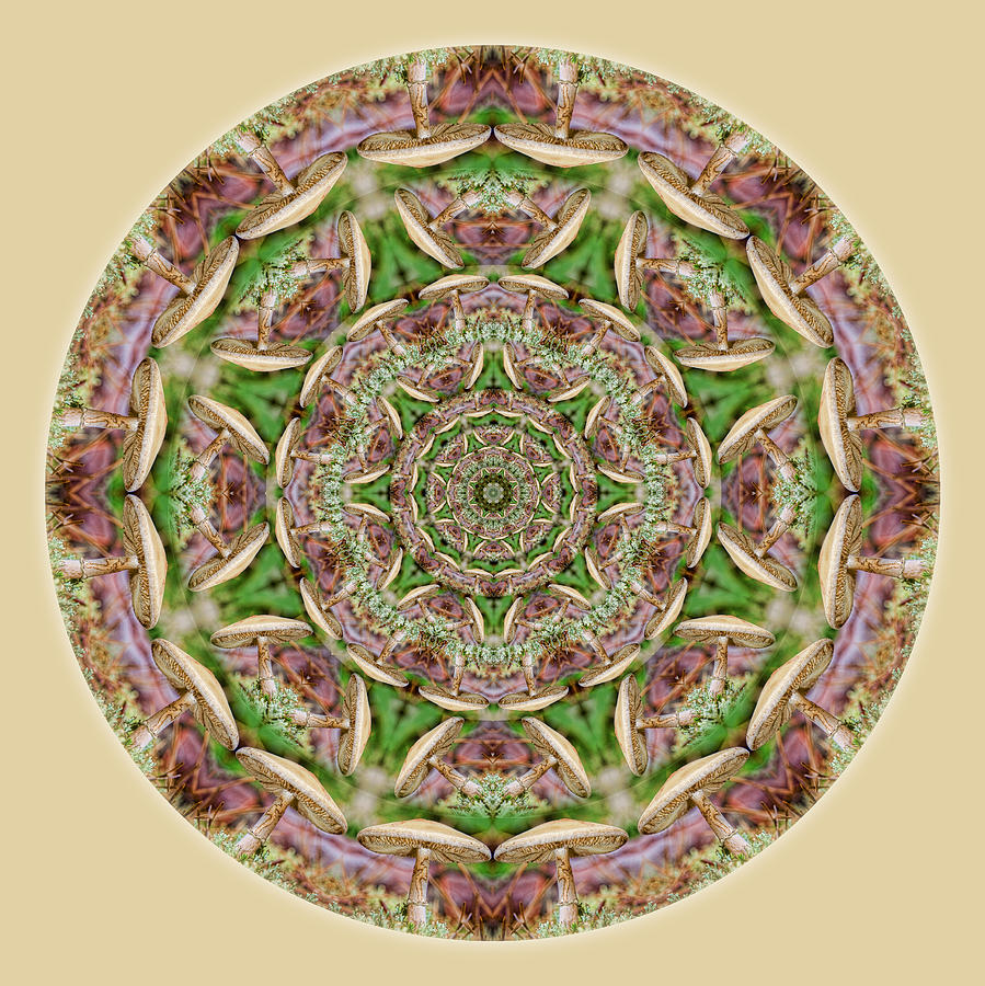 Mushroom Mandala 1 Digital Art by Beth Venner