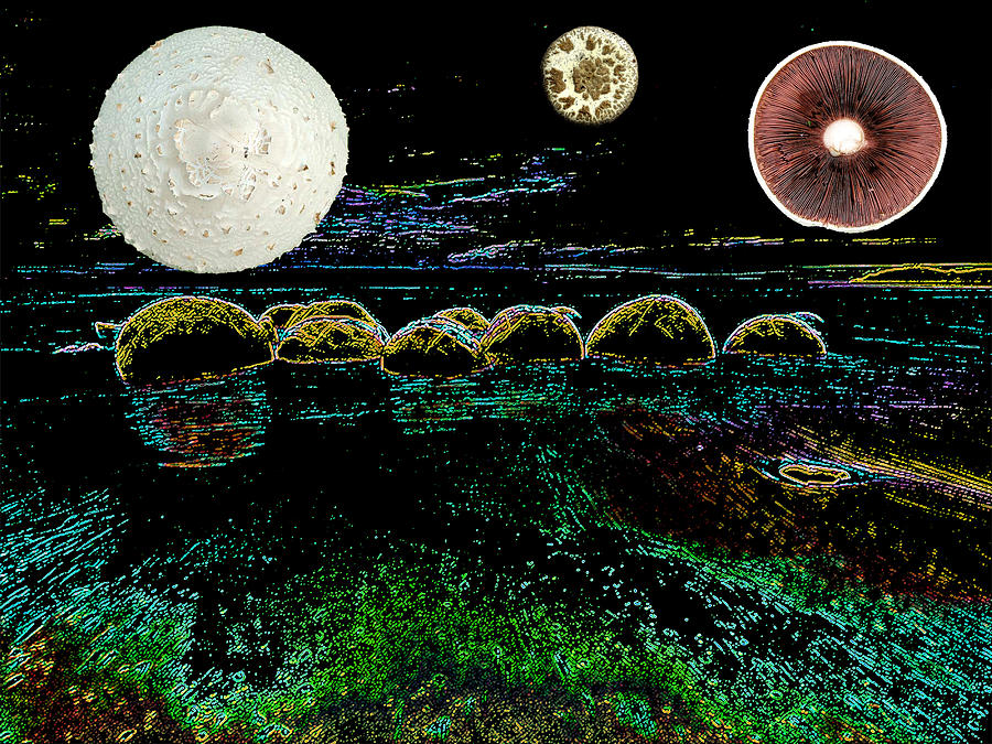 Space Photograph - Mushroom Moons by Bruce IORIO