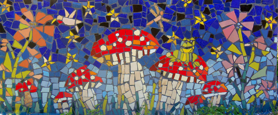 Mushroom Mosaic Photograph by Lou Ann Bagnall