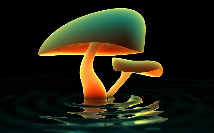 Mushroom Radiance	 Painting by Movie Poster Prints