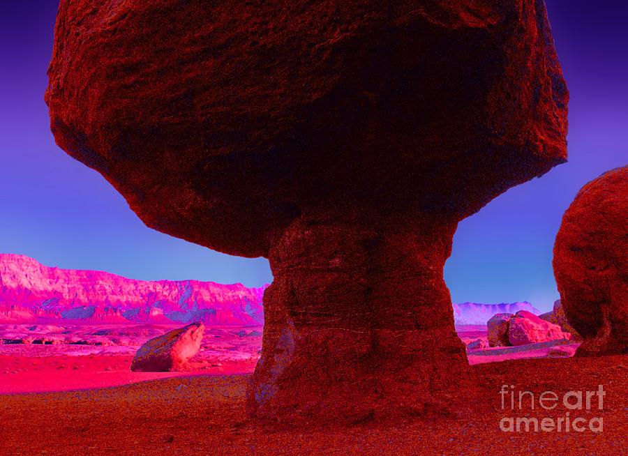 Landscape Digital Art - Mushroom Rock by Tim Richards