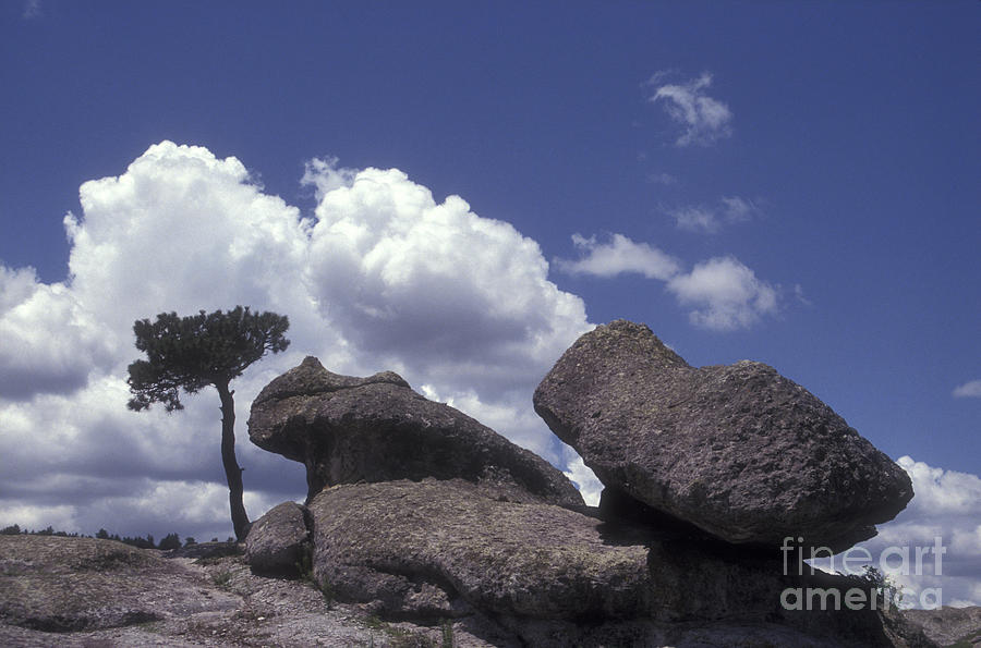 Mushroom Rocks Copper Canyon Mexico Photograph by John  Mitchell