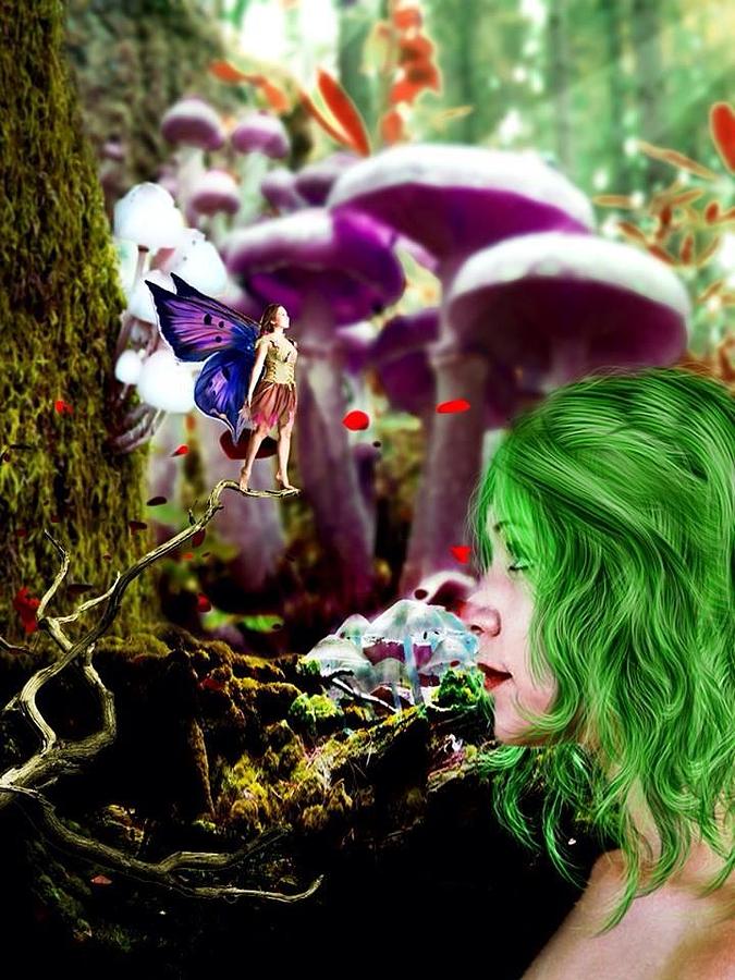 Fantasy Digital Art - Mushroom Vally by Bronte Aperios