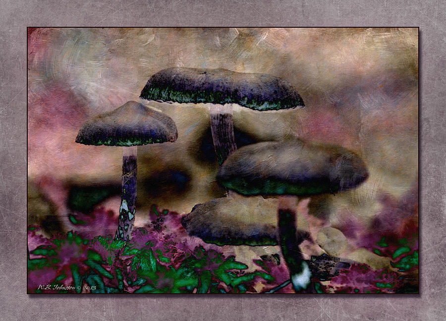 Mushrooms 5 Photograph by WB Johnston