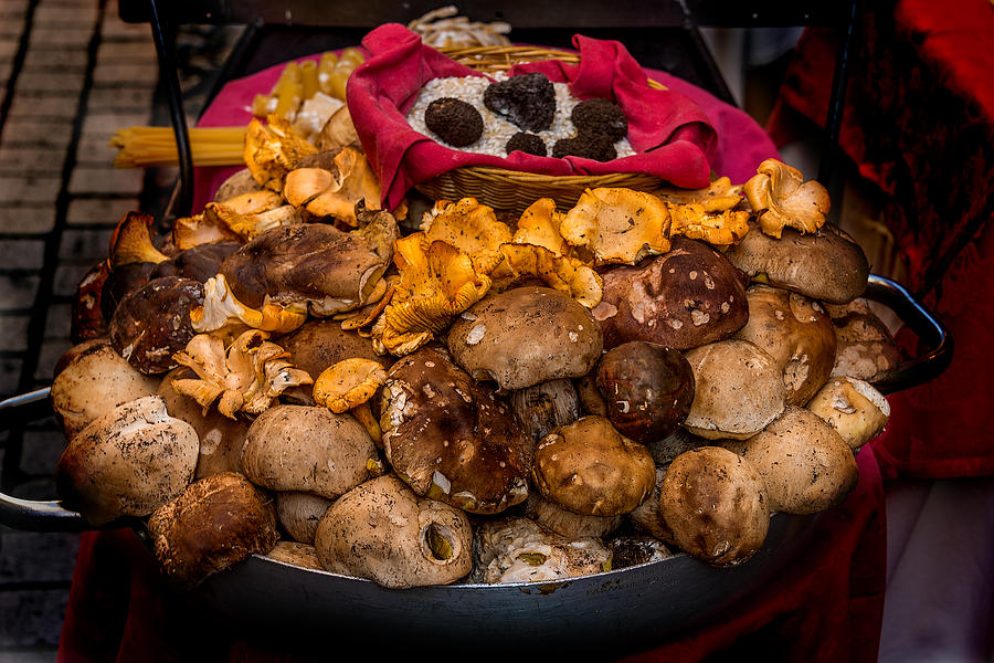 Mushrooms And Truffles Photograph by Xavier Cardell