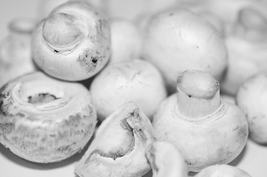 Mushrooms Photograph by Martina Fagan
