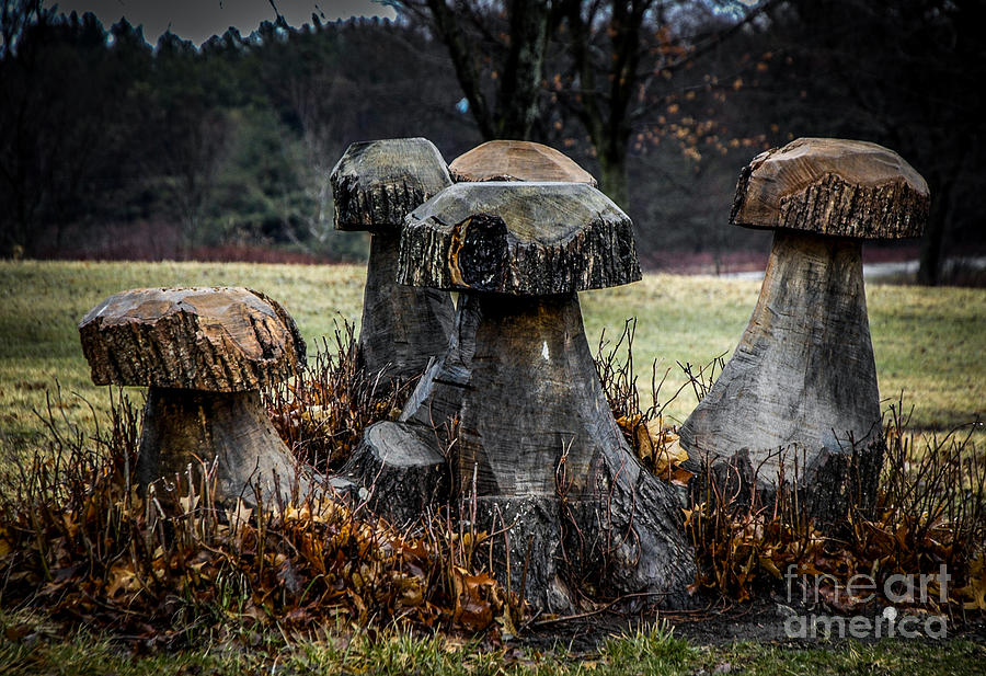 Mushrooms Sculpture Photograph by Ronald Grogan