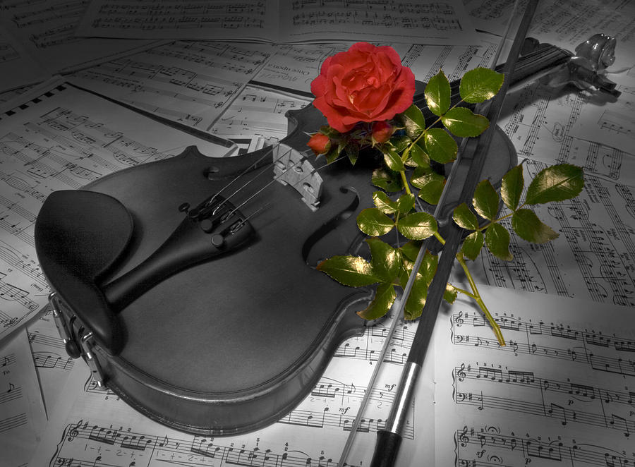 Music and Romance Photograph by Thomas Glover - Pixels