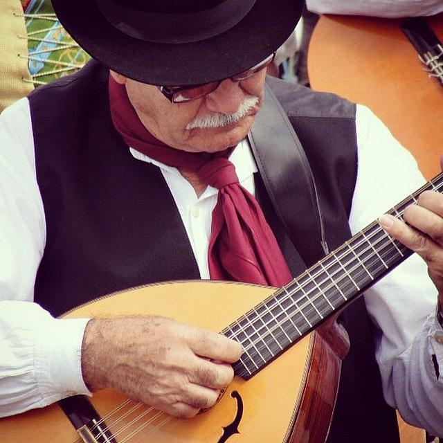Music Photograph - #music #musician #player #ukulele by Pamela Harridine