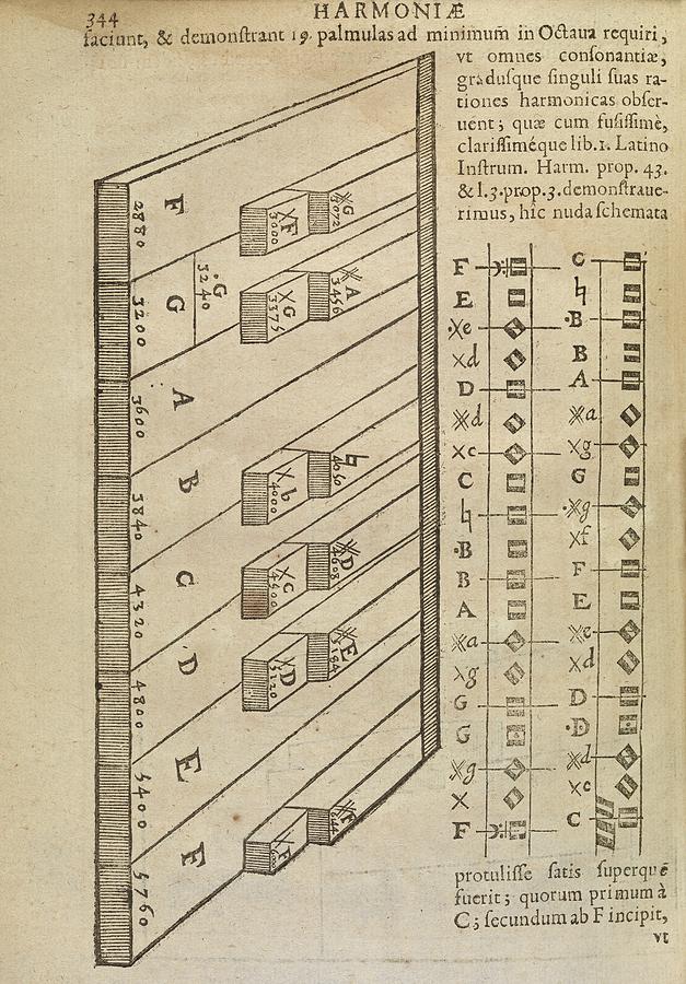 Music Theory Photograph by Middle Temple Library