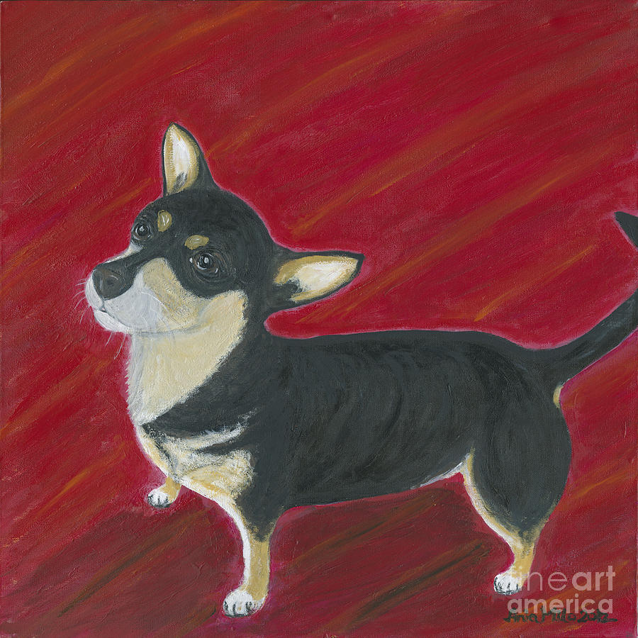 Musiu The Chihuahua  Painting by Ania M Milo