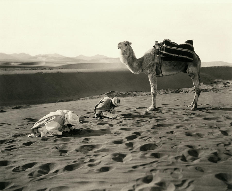 Muslim Desert Prayer Photograph by Underwood Archives