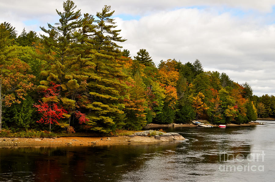 Musquash River In Fall Photograph by Les Palenik