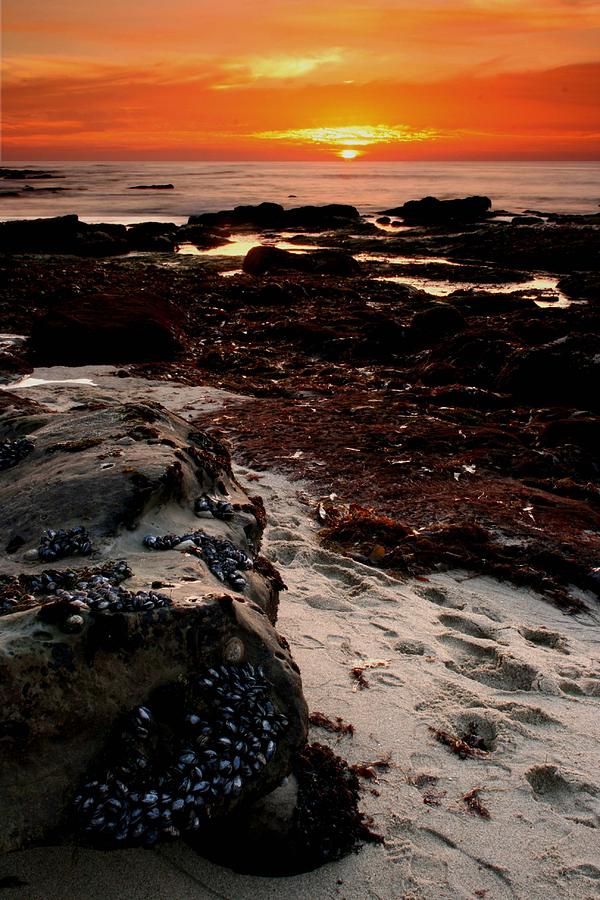 Mussels Sunset Photograph by Scott Cunningham