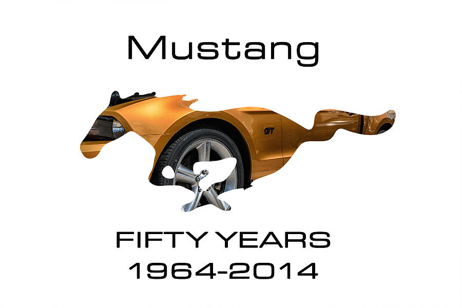Mustang 50 Years Photograph by Michael White