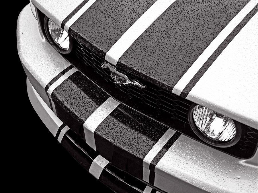 Mustang Abstract in the Rain Photograph by Gill Billington