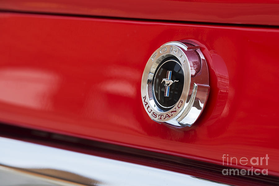 Mustang Abstract Photograph By Tim Gainey - Fine Art America