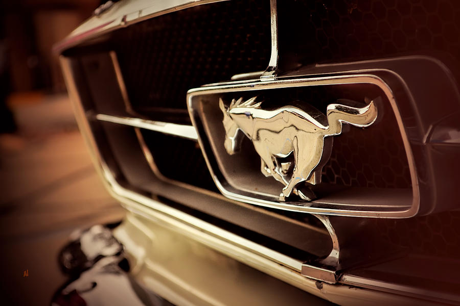 Mustang Photograph by Adam Vance