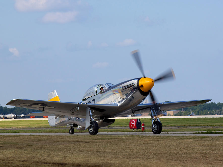 Mustang Photograph by Anthony Muldoon - Fine Art America