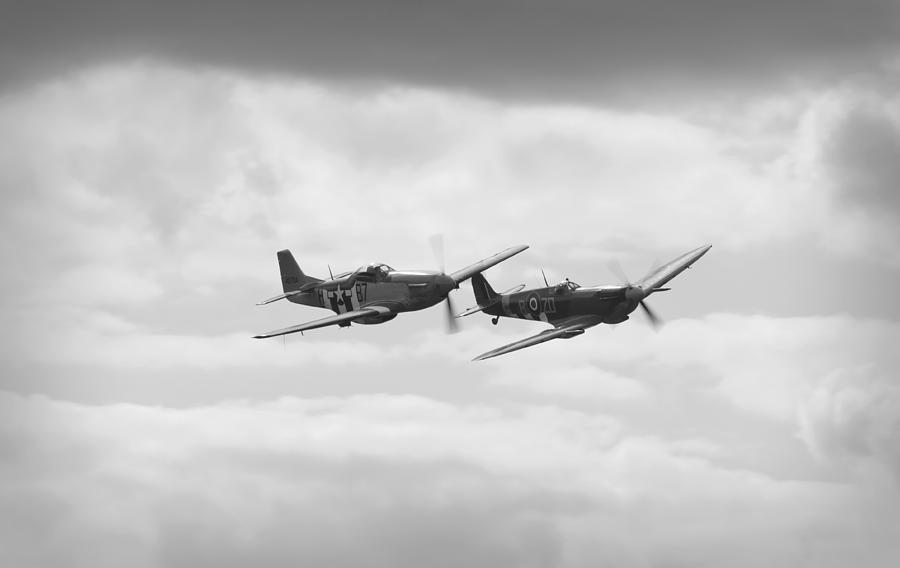 Mustang and Spiffier Fighter planes Photograph by Maj Seda