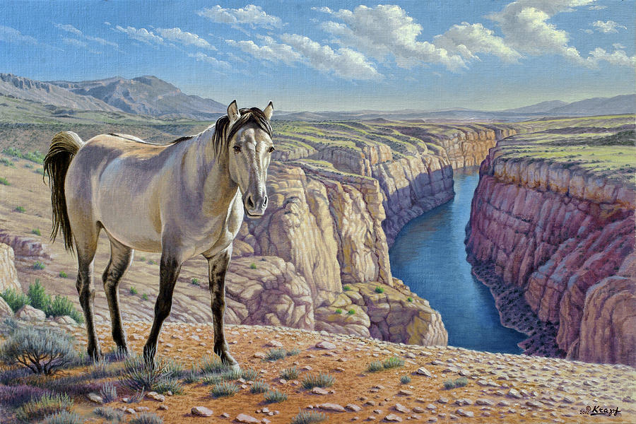 Wildlife Painting - Mustang at Bighorn Canyon by Paul Krapf