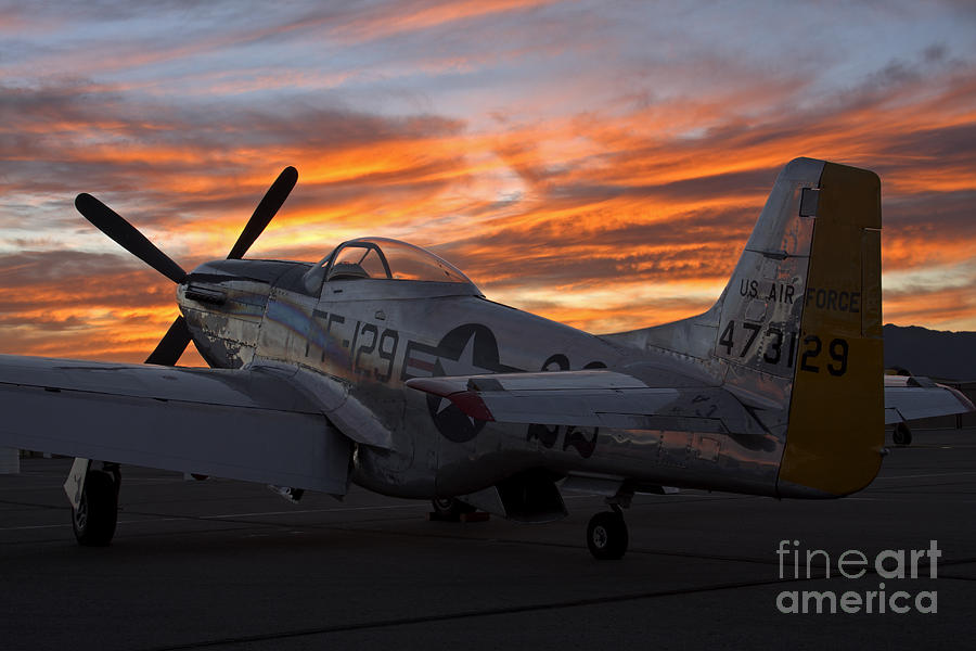 Mustang at Sunset Photograph by Rick Pisio