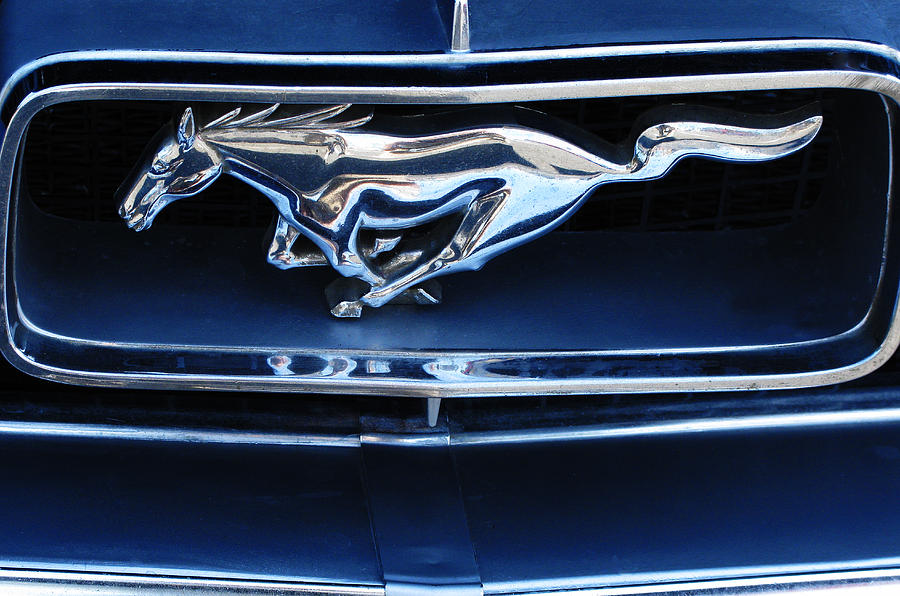 Mustang Photograph by Elvira Butler