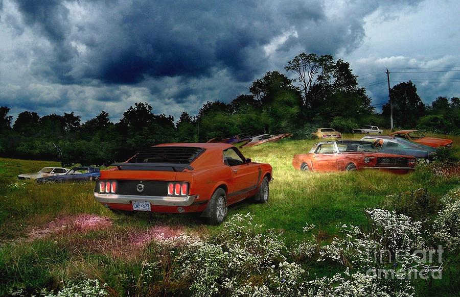 London Photograph - Mustang Field by Tom Straub