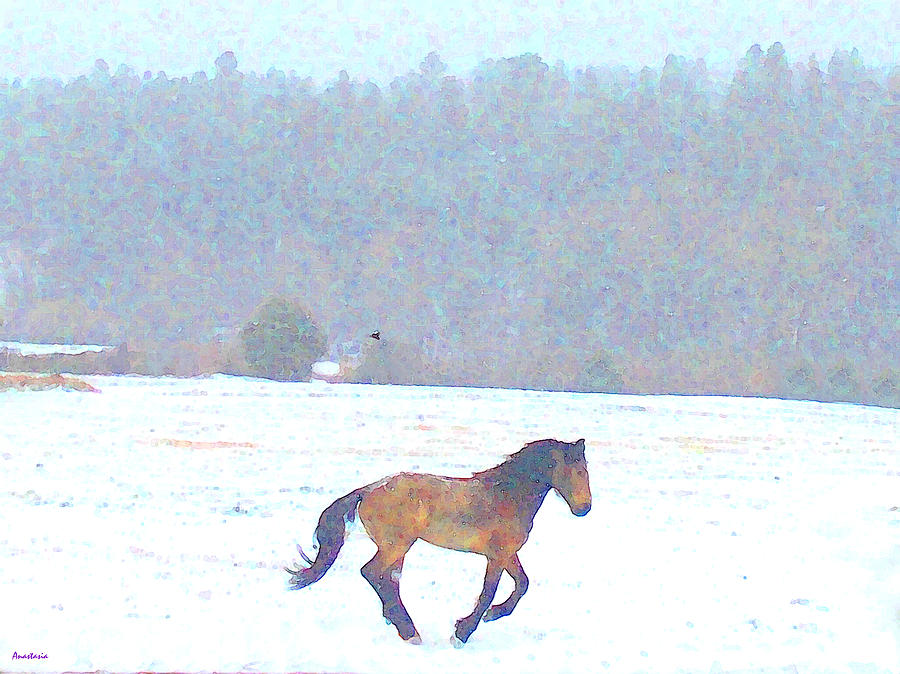 Mustang Freedom Gallop in April Snow Photograph by Anastasia Savage Ealy