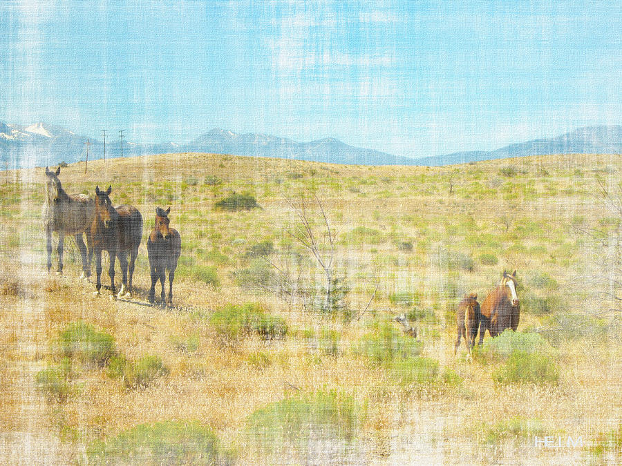 Mustang gang  Photograph by Mayhem Mediums