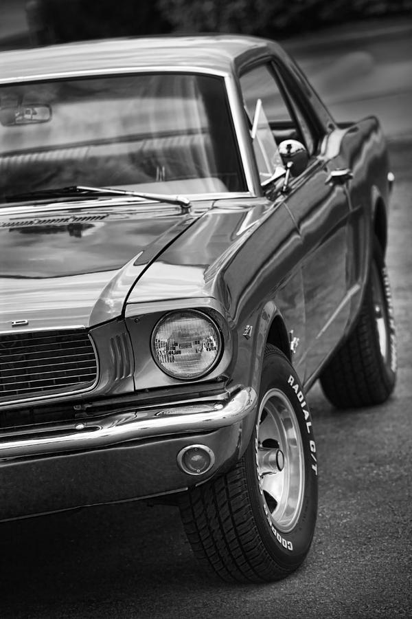 Mustang Photograph by Gordon Dean II