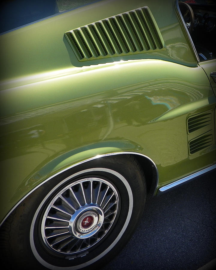Mustang Green Photograph by Sheri McLeroy