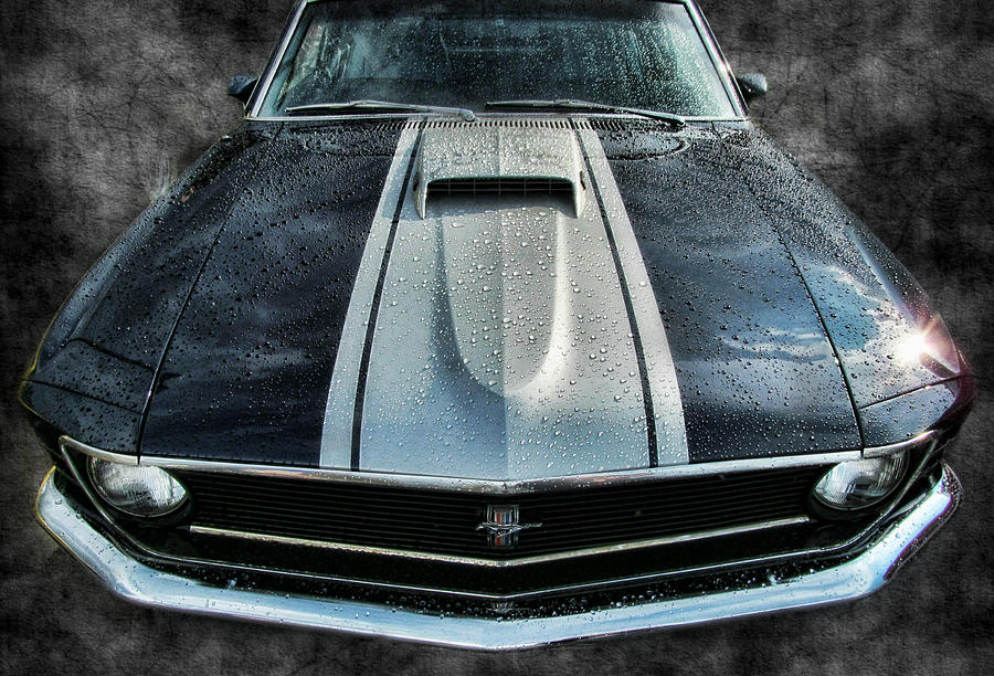 Mustang Hood Photograph by Vic Montgomery