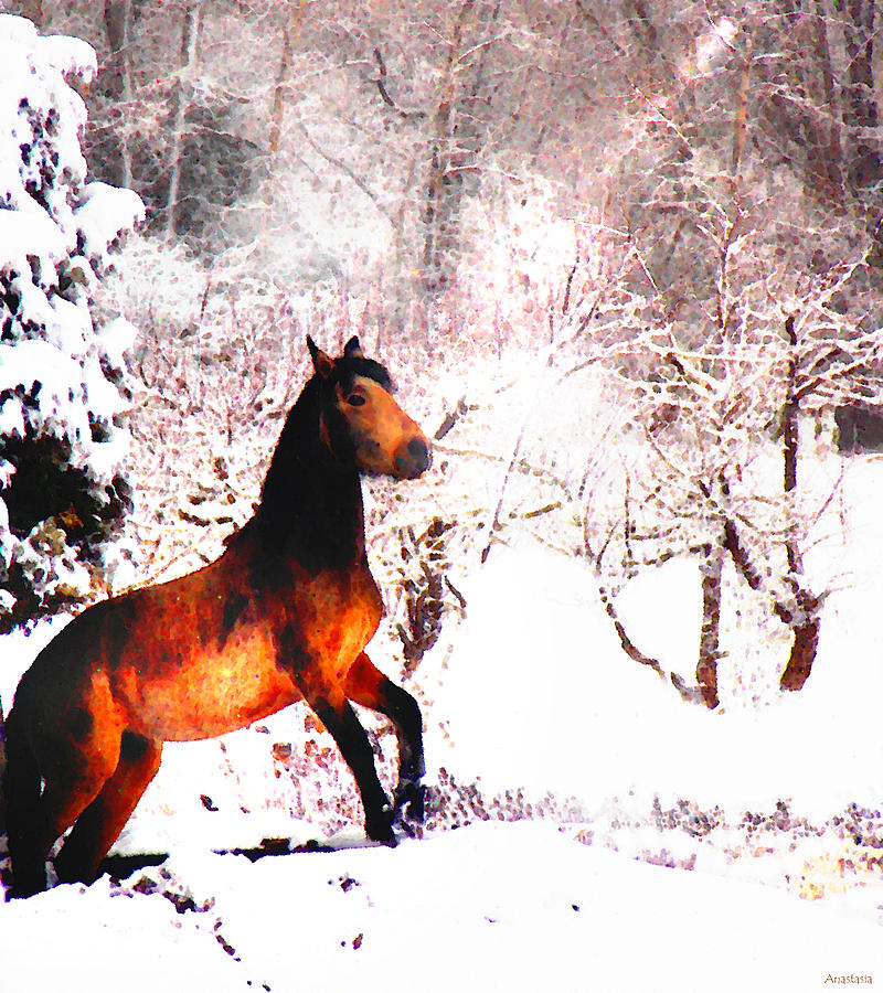 Mustang in April Snow Luminosa Photograph by Anastasia Savage Ealy