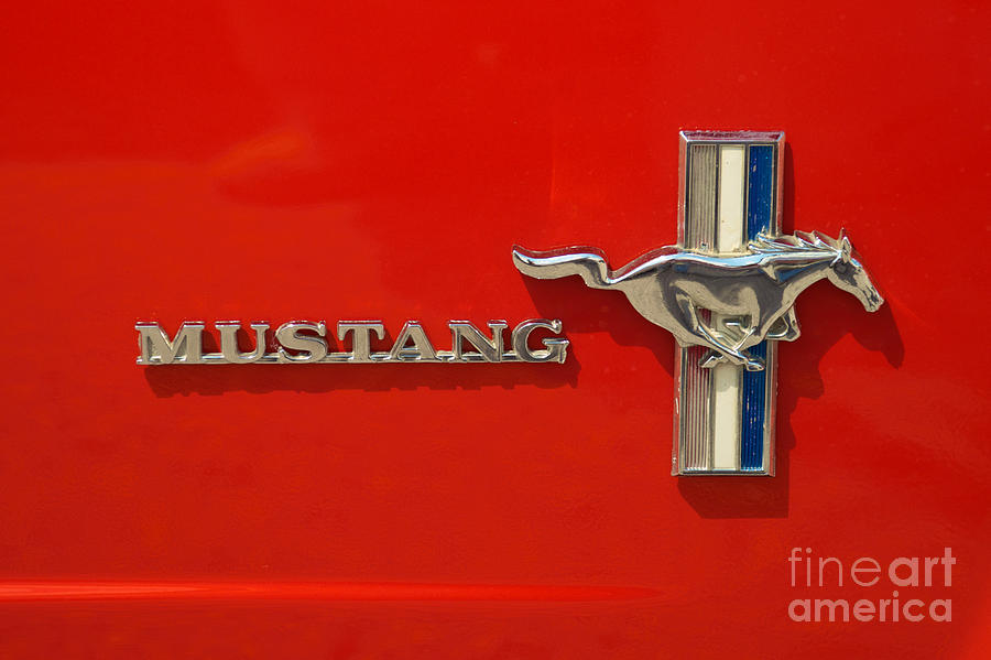 Mustang Logo and Emblem Photograph by Mark Dodd