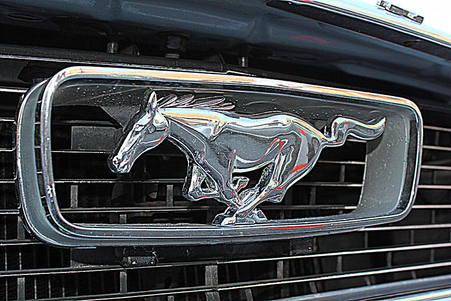 Mustang Logo Photograph by Suzanne DeGeorge