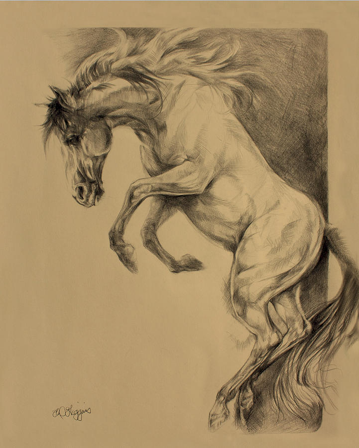 Mustang rearing Drawing by Derrick Higgins