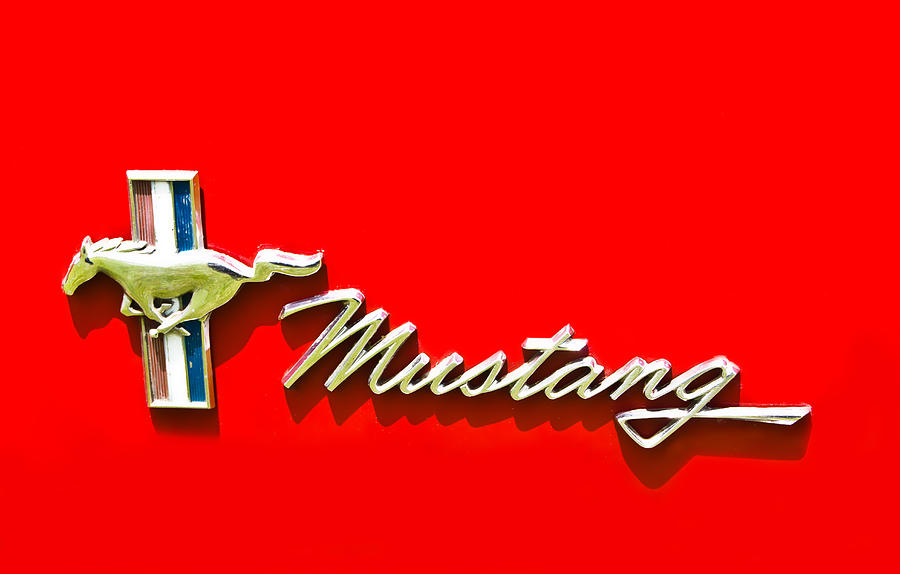 Mustang Photograph by Scott Carruthers