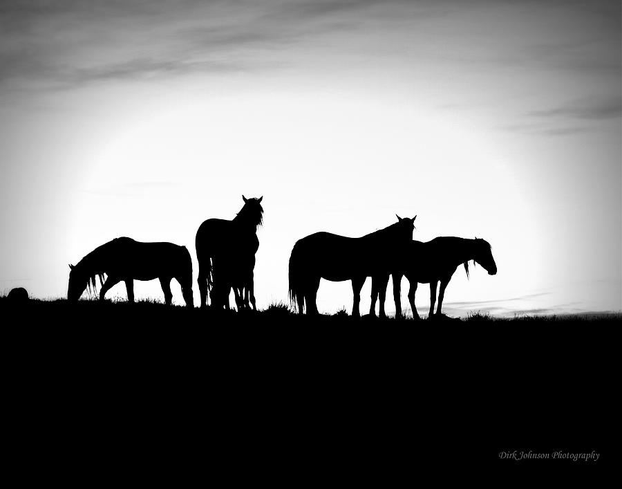 Mustang Silhouette  Photograph by Dirk Johnson