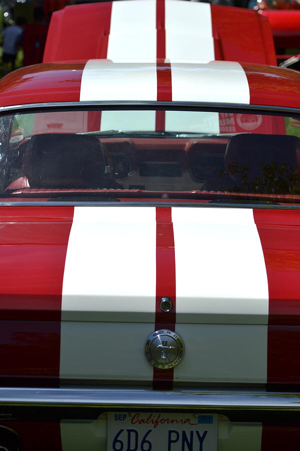 Mustang Stripes Photograph by Dean Ferreira