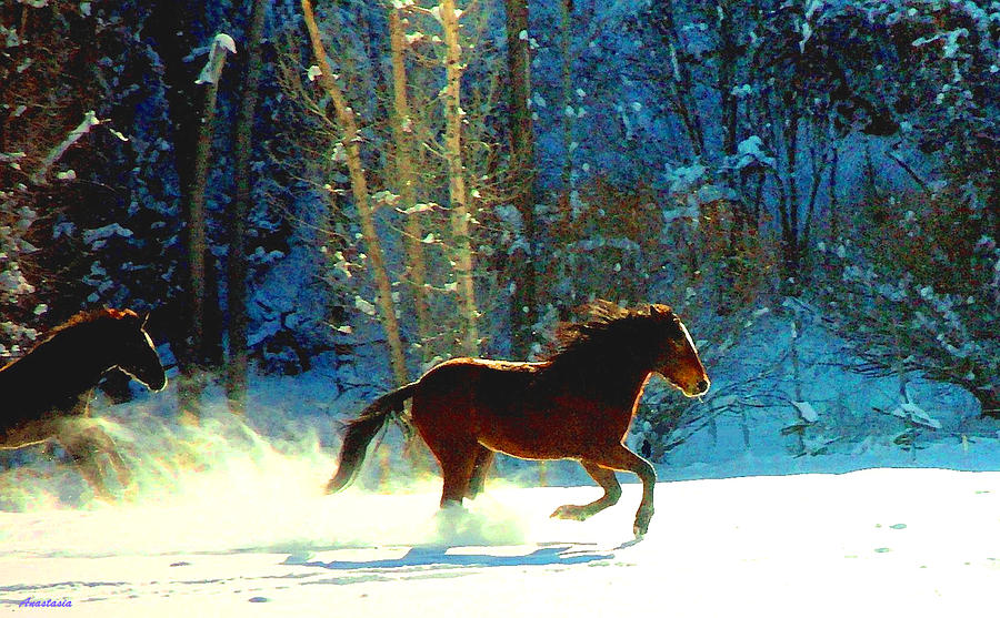 Mustangs Gallope El Valle NM Photograph by Anastasia Savage Ealy