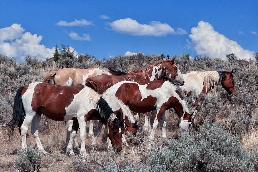 Mustangs on South Steens Digital Art by Kathleen Bishop